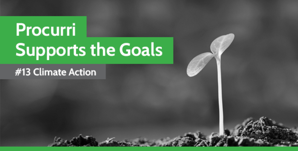 The title 'Procurri Supports The Goals' in green on a black and white background of a shoot growing up out of dirt.
